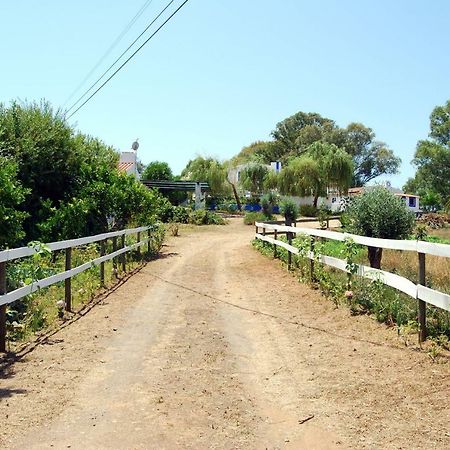 הוילה Charnequinha Silveiras Monte Das Silveirinhas - Casa Rural מראה חיצוני תמונה